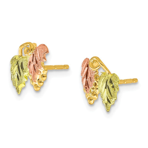 10k and 12k Tri-color Black Hills Gold Grapes and Leaves Post Earrings