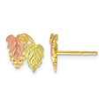 10k and 12k Tri-color Black Hills Gold Grapes and Leaves Post Earrings