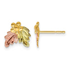 10k and 12k Tri-color Black Hills Gold Grapes and Leaves Post Earrings