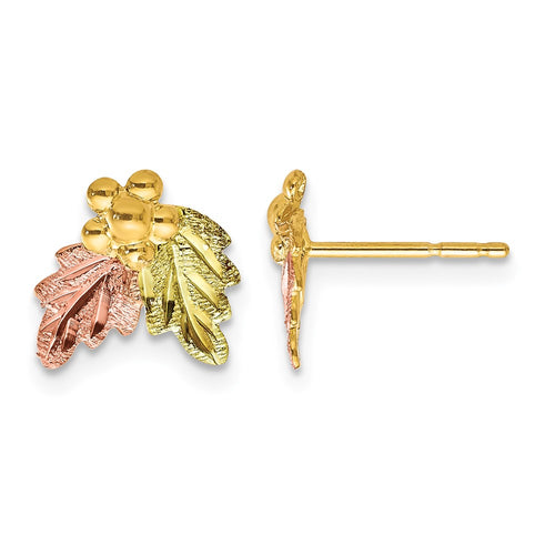 10k and 12k Tri-color Black Hills Gold Grapes and Leaves Post Earrings