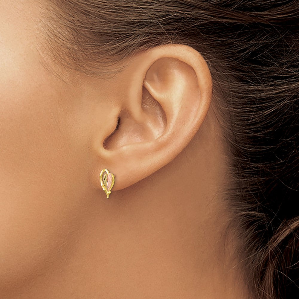 10k and 12k Tri-color Black Hills Gold Heart Leaf Post Earrings
