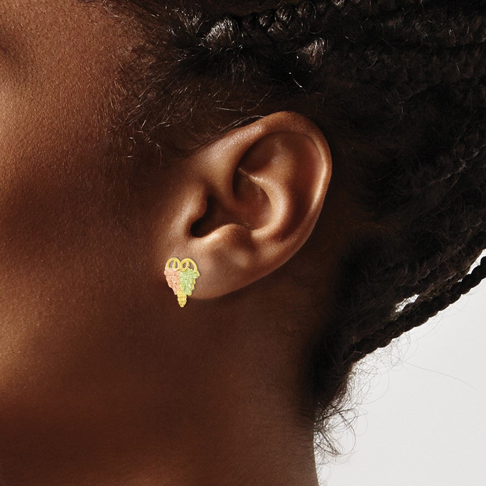 10k and 12k Tri-color Black Hills Gold Grapes and Leaves Post Earrings