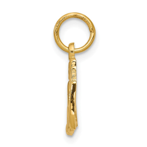 10k 50th ANNIVERSARY Charm