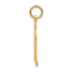 10K Hockey Player Charm
