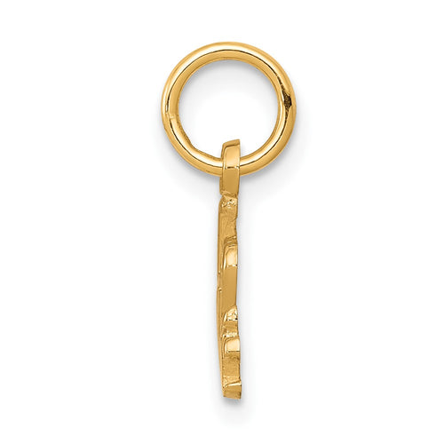 10K I Heart MUSIC Charm