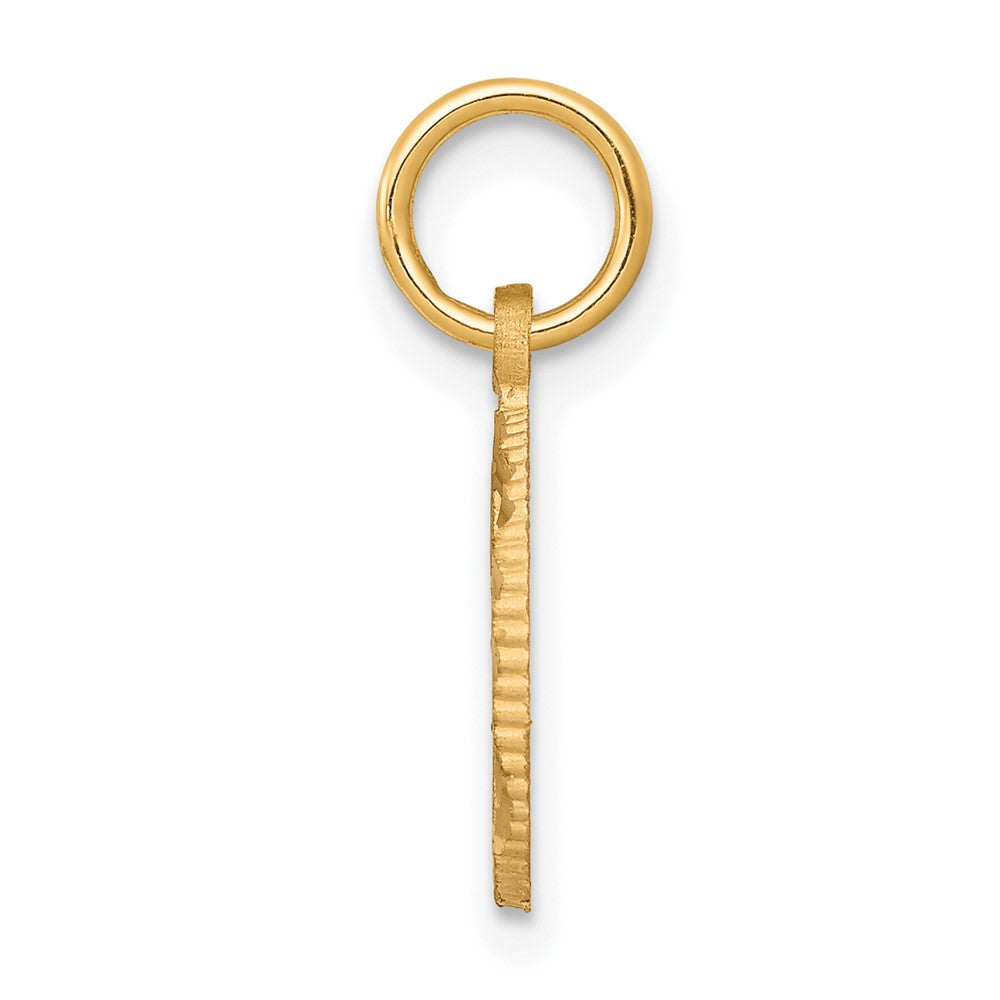 10k Solid Flat-Backed Eternal Life Cross in Circle Charm