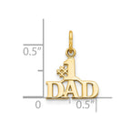 10K #1 DAD Charm