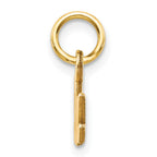 10K Satin Diamond-cut NANA Charm