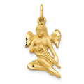 10k Satin Diamond-cut Angel Playing Lute Charm