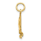 10k Sailboat Charm