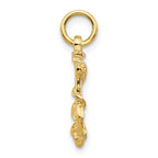 10k Anchor with Rope Pendant