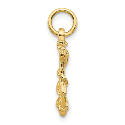 10k Anchor with Rope Pendant