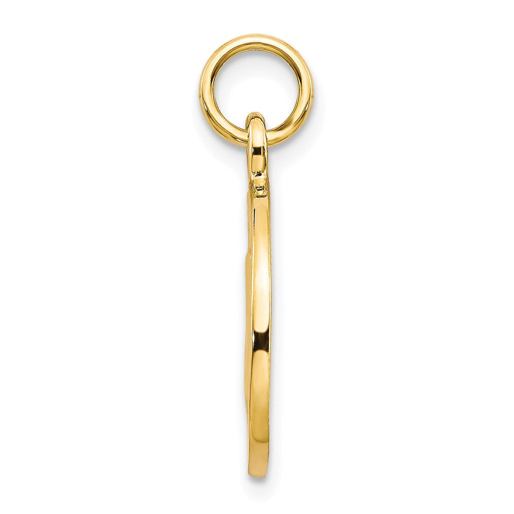 10K Round St. Jude Medal Charm