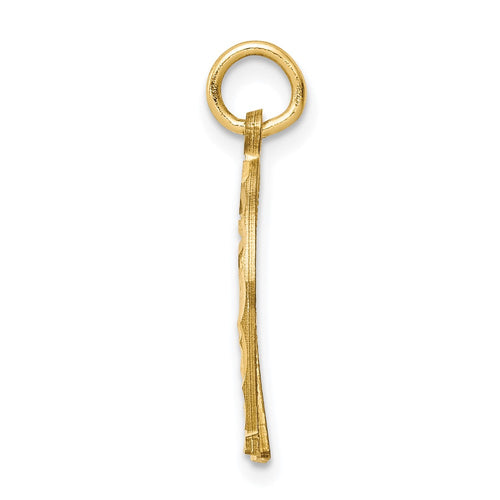 10k Diamond-cut Horseshoe Charm