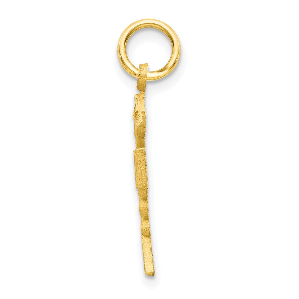 10k Solid Registered Nurse RN Charm