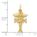10k Solid Registered Nurse RN Charm