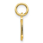 10k Small Script Initial N Charm