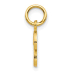 10k Small Script Initial P Charm
