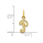10k Small Script Initial P Charm