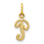 10k Small Script Initial P Charm