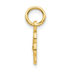 10k Small Script Initial R Charm