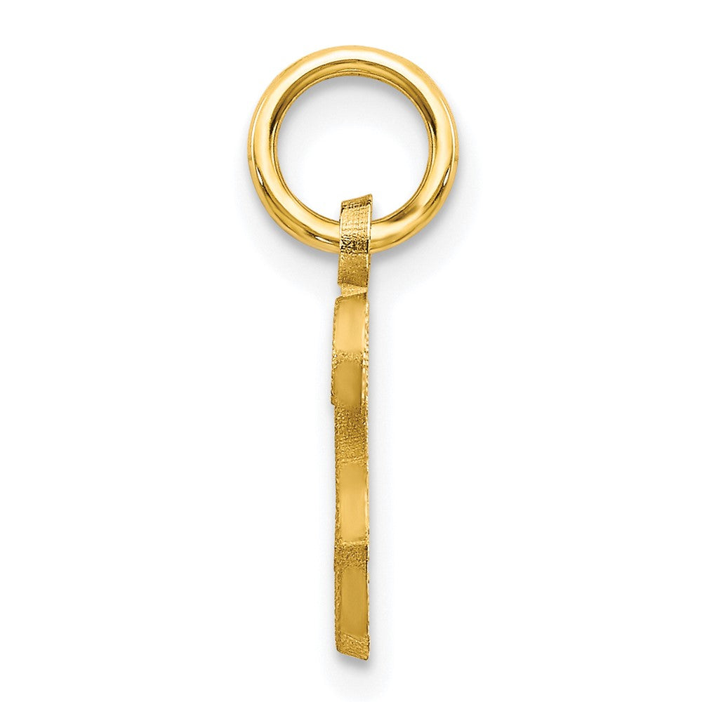 10k Small Script Initial S Charm