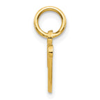10k Small Script Initial V Charm