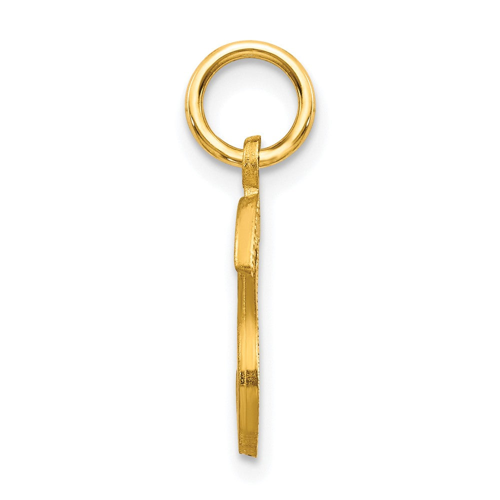 10k Satin Diamond-cut Block Initial S Charm
