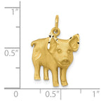 10k Satin Diamond-cut Pig Charm