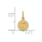 10k Solid Satin Polished Small Our Lady of Sorrows Disc Pendant