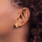 10k Hinged Hoop Earrings