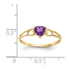 10k Polished 5mm Heart Genuine February/ Amethyst Birthstone Ring