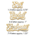 10k 3D Two-tone Polished Name Plate
