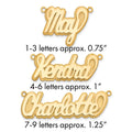 10k Yellow Gold 3D Polished Name Plate