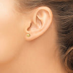 14K Polished 5mm Ball Post Earrings