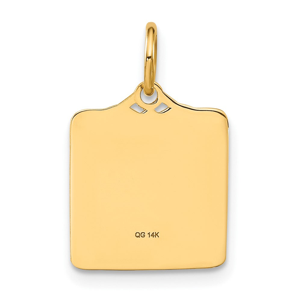 14k Enameled Pink Engravable BIRTH CERTIFICATE Charm