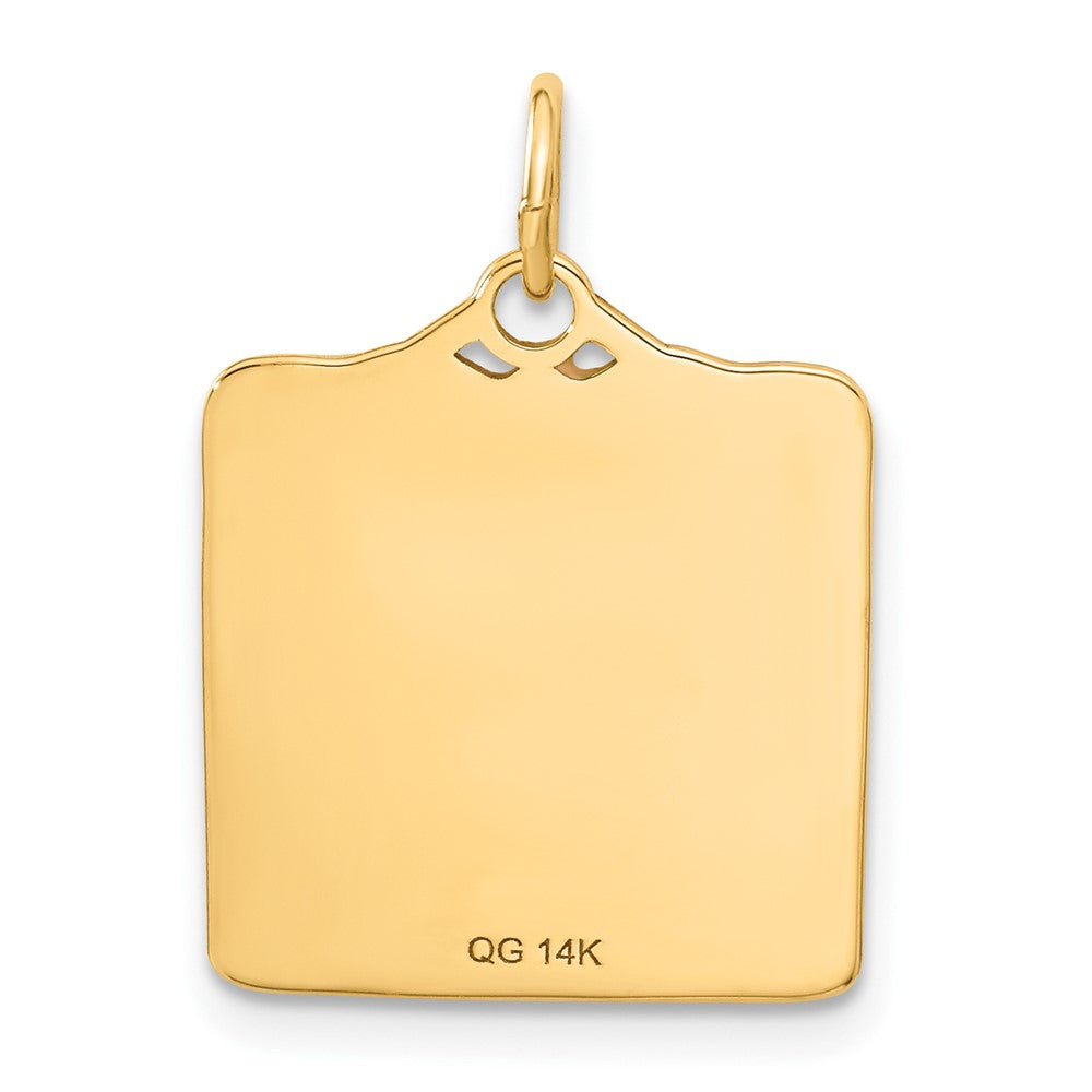 14k Enameled Pink Engravable BIRTH CERTIFICATE Charm