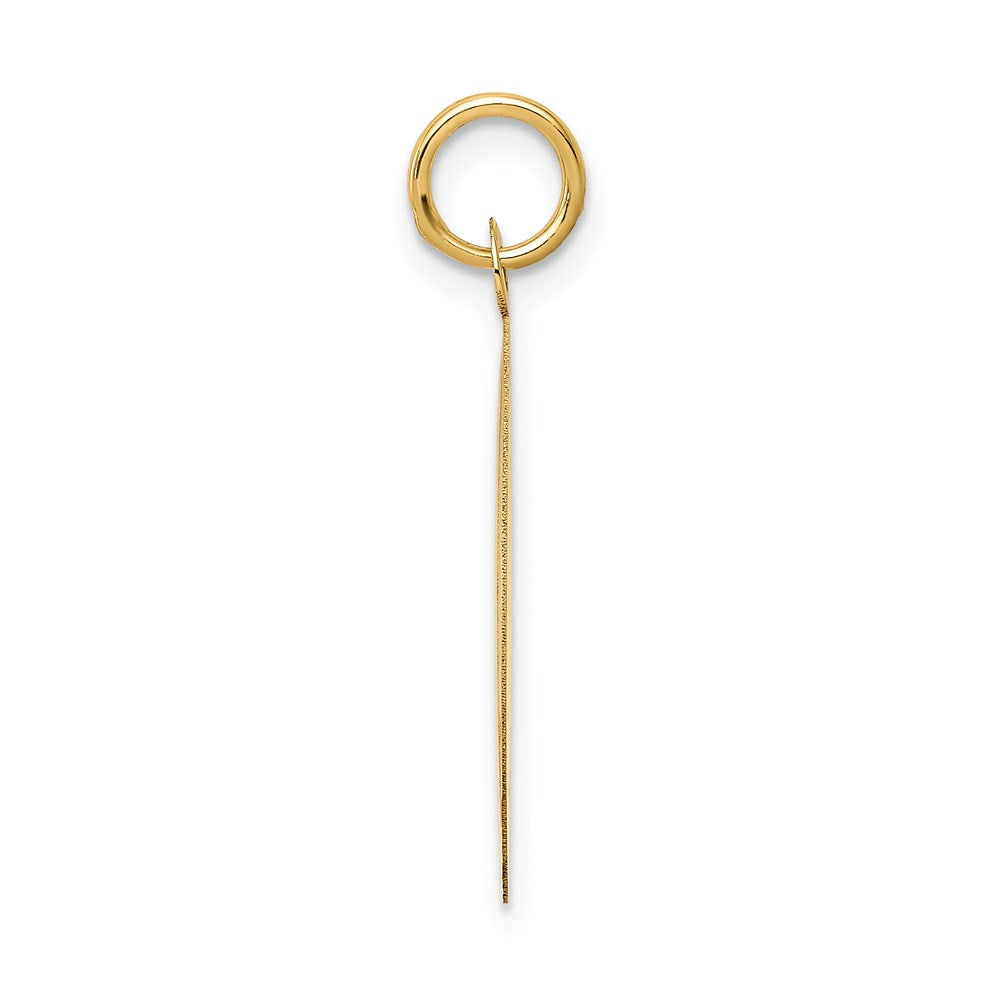 14K HAPPY ANNIVERSARY 20mm Engravable Disc Charm