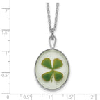 Silver Trim Real Four Leaf Clover in Oval 20 inch Silver-plated Chain Necklace
