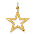 14k Diamond-cut Star Charm