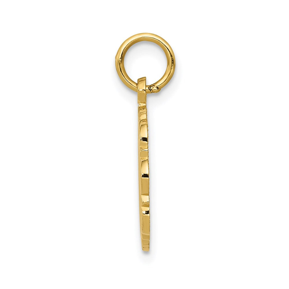 14k RN Registered Nurse Textured Back Disc Charm