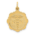 14k RN Registered Nurse Textured Back Disc Charm