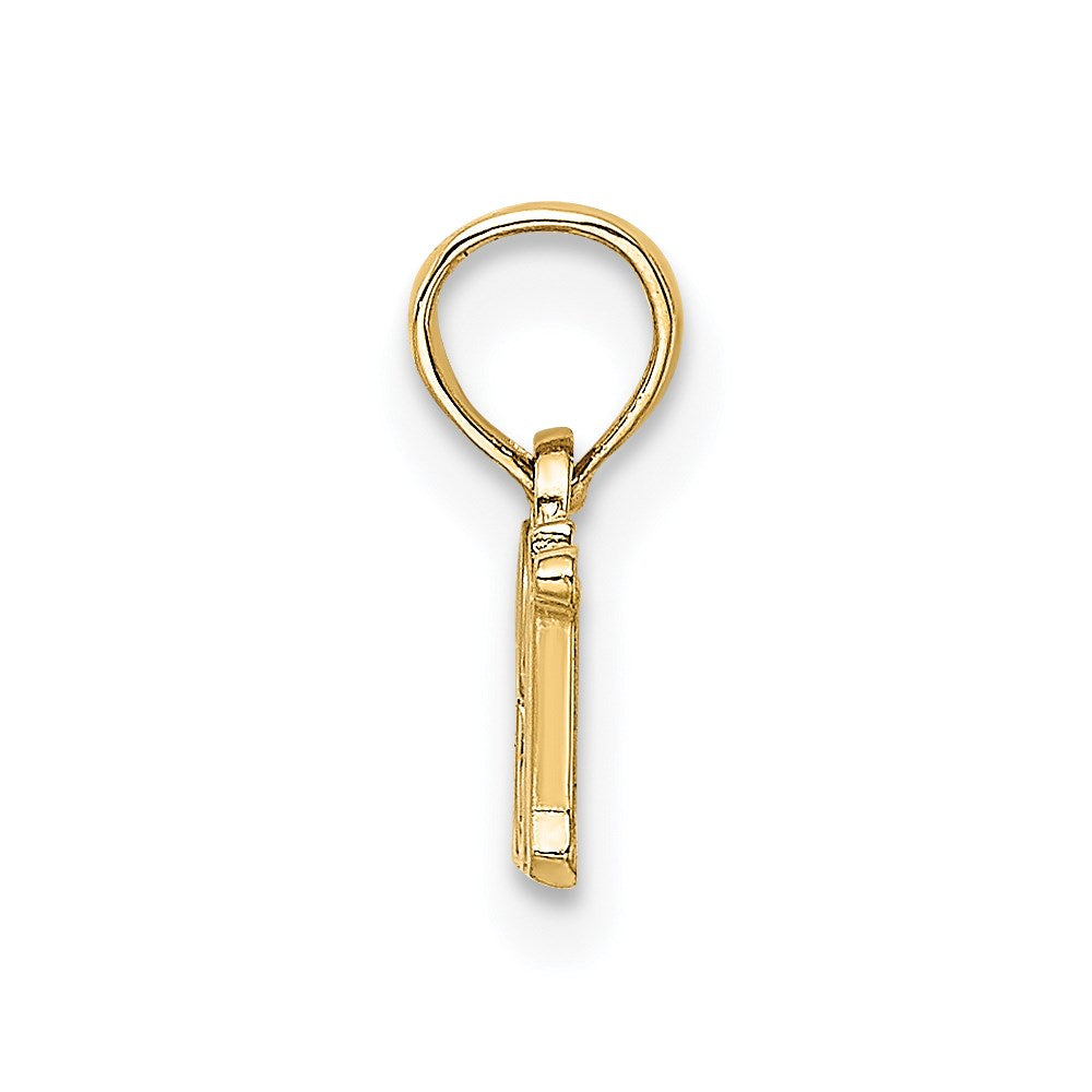 14k R.N. Charm
