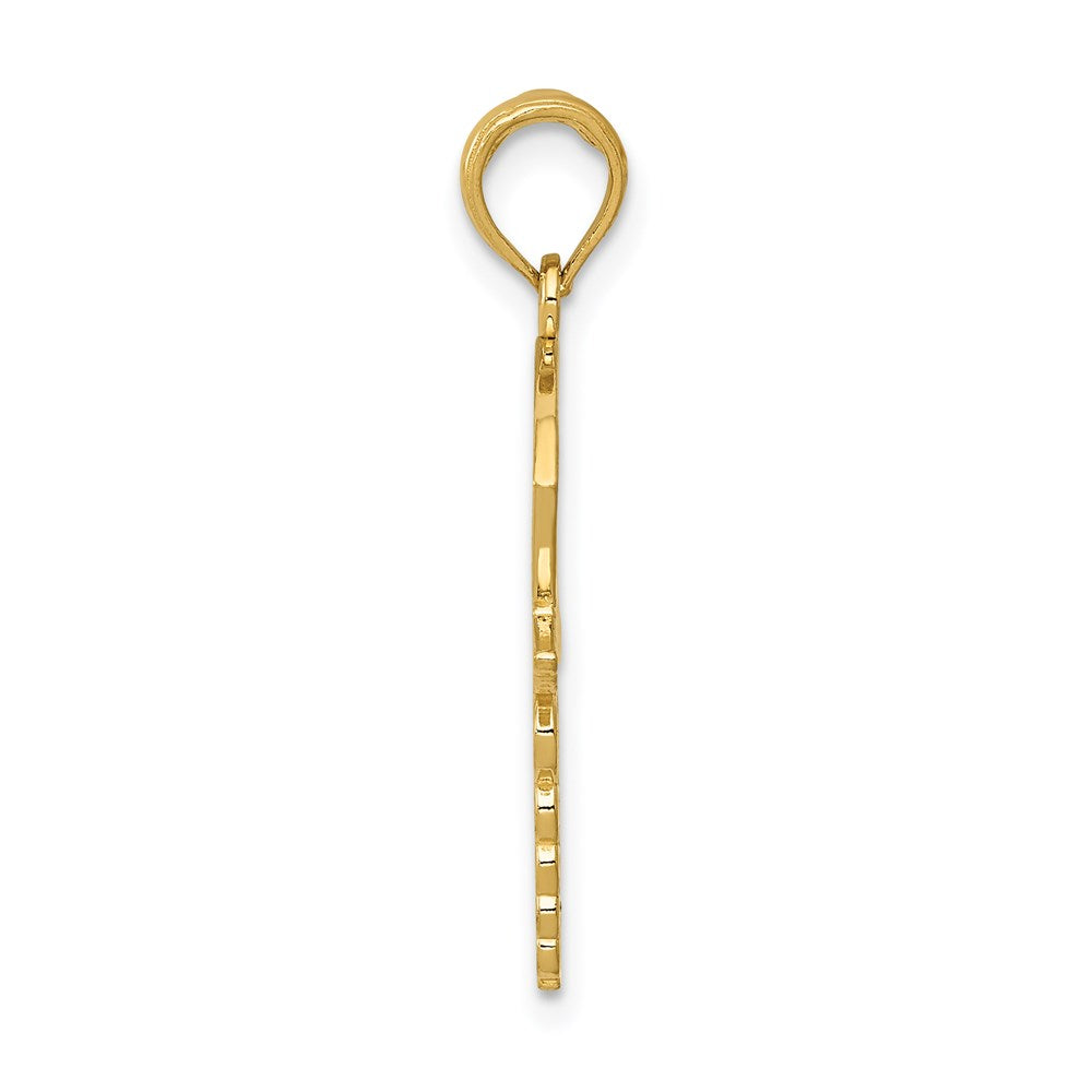 14k Caduceus with Nurses Cap Pendant