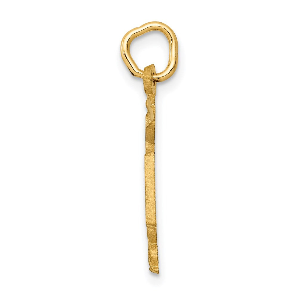 14k RN Registered Nurse Charm