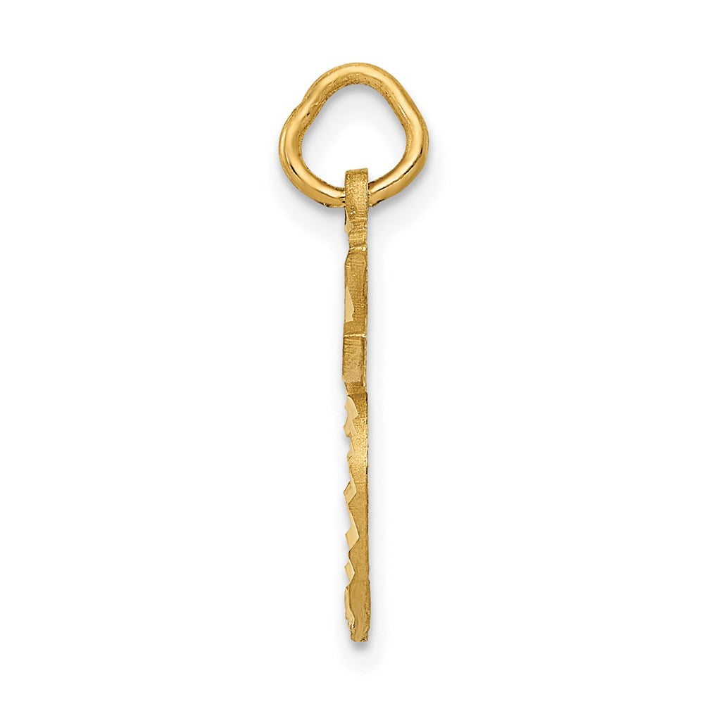 14k Diamond-cut Apple Charm
