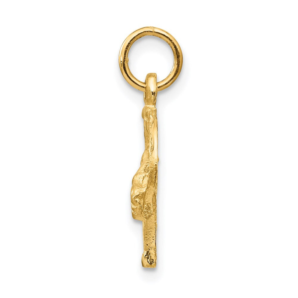 14k Satin Diamond-cut Horse Head in Horseshoe Charm