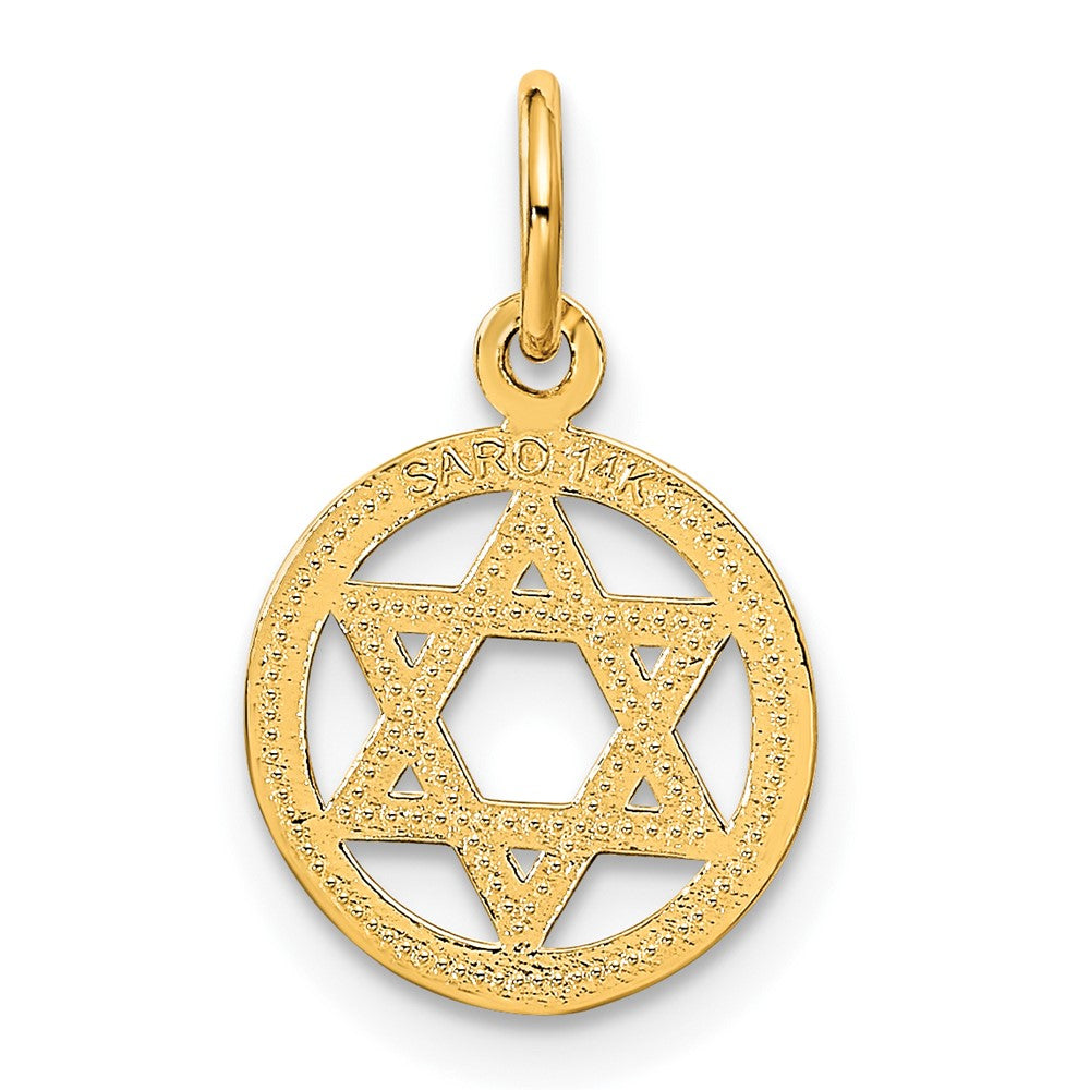 14k Solid Polished Star of David in Circle Charm