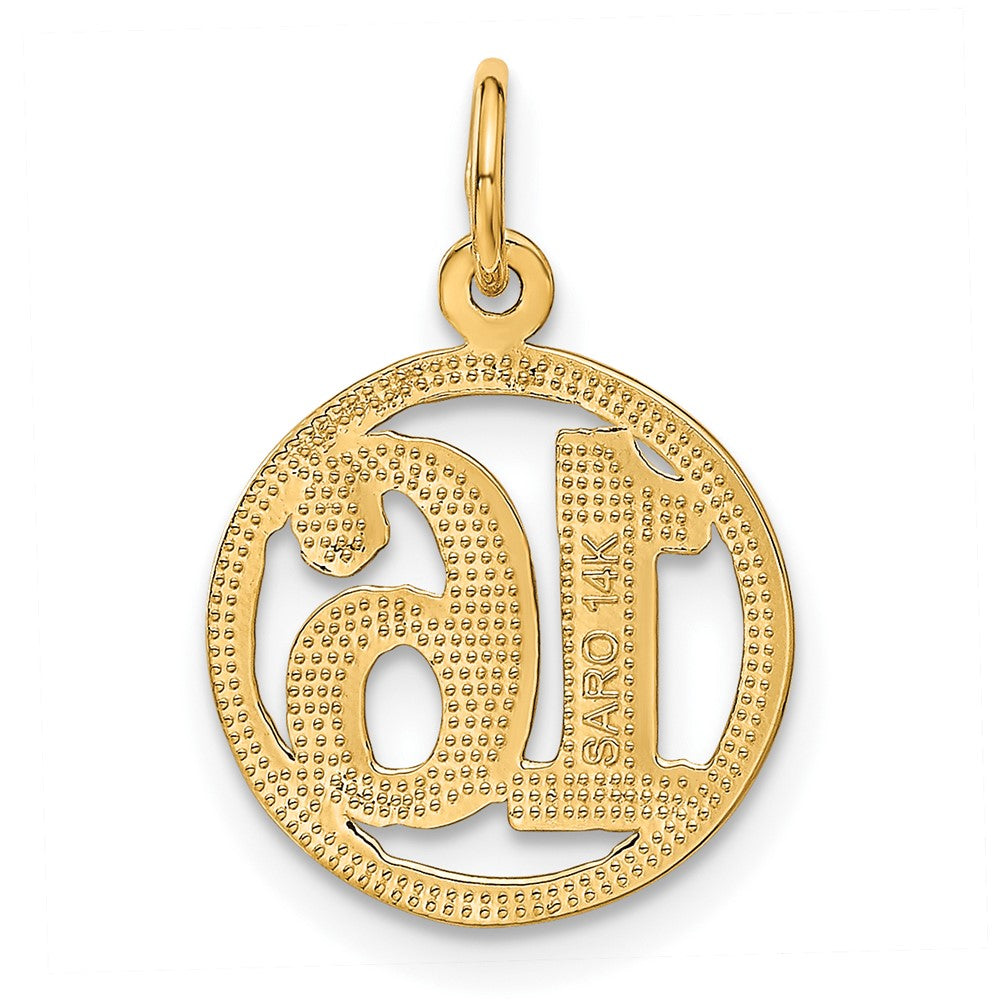 14k 16 in Circle Pendant