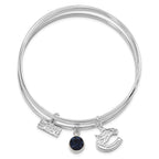 NHL Vancouver Canucks Silver-tone Crystal 3 pc Charm Bangle Set